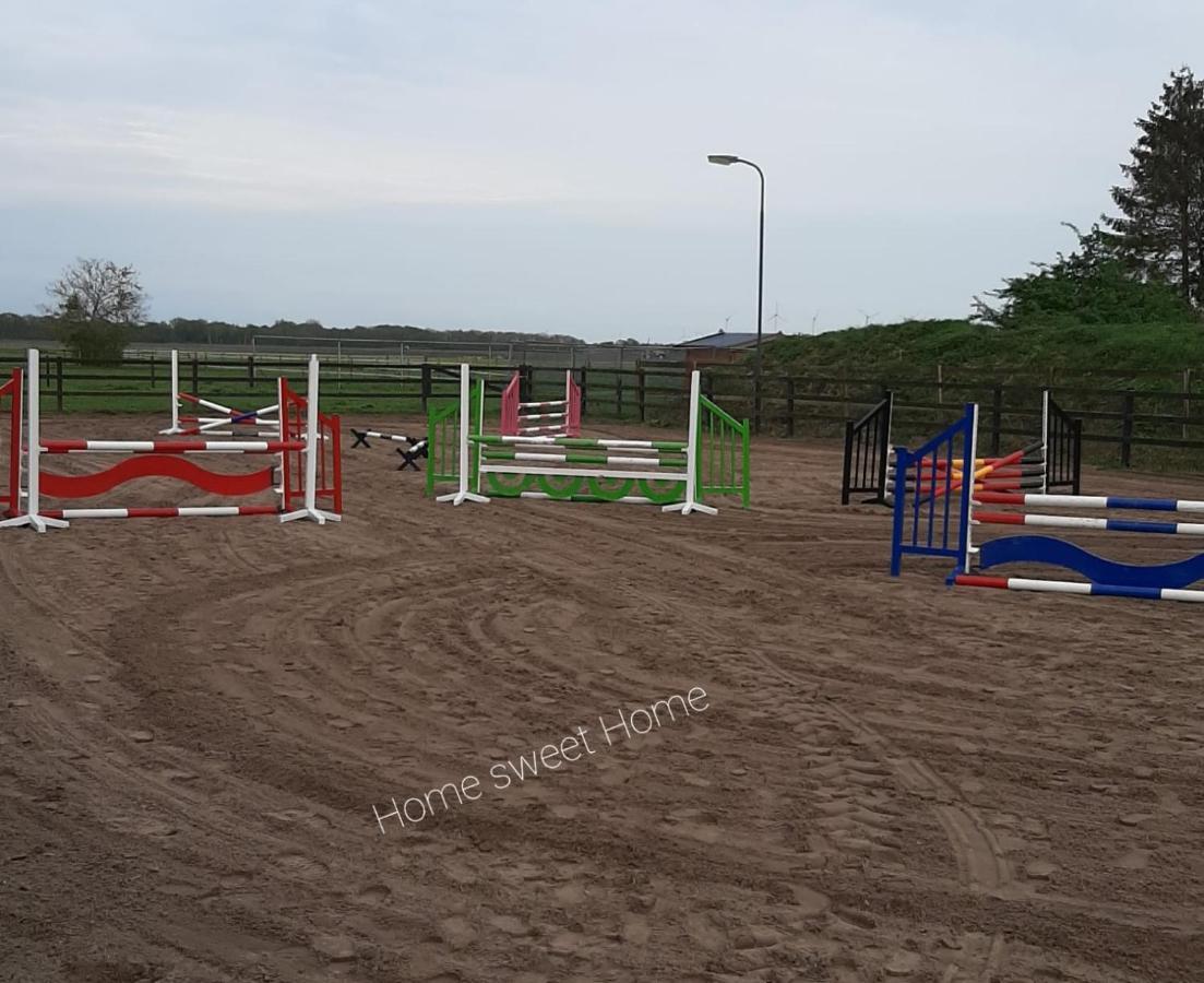 'T Wolthoes Vlagtwedde المظهر الخارجي الصورة