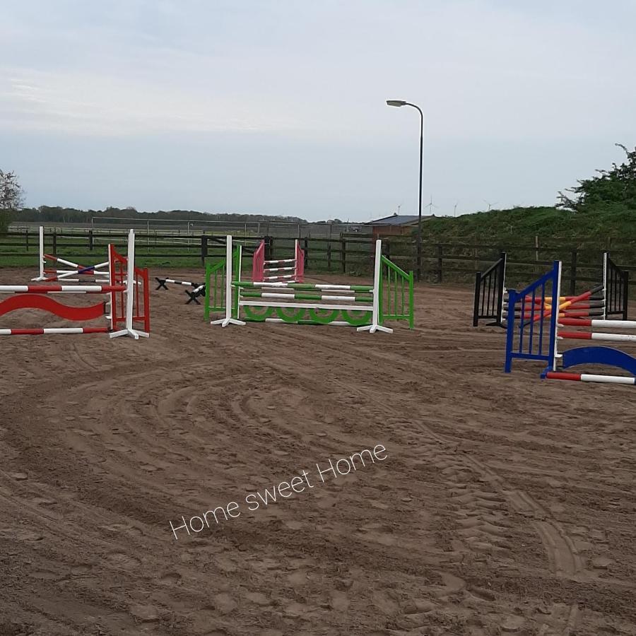 'T Wolthoes Vlagtwedde المظهر الخارجي الصورة